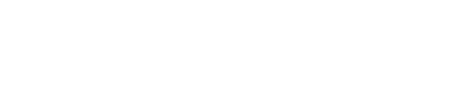 Skullcandy logo